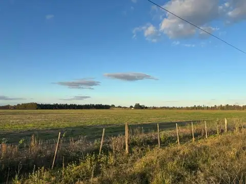Campo en venta con acceso asfaltado y luz