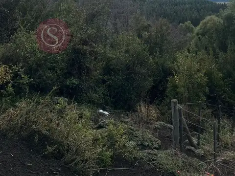 Terreno Lote  en Venta en Kaleuche, San Martin de los Andes, Patagonia