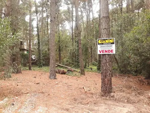 Terreno - Venta - Argentina, Mar de las Pampas