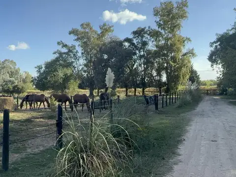 Chacra en alquiler en ruta 28 alt. km 6, Pilar, Provincia de Buenos Aires