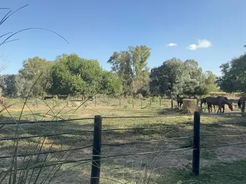 Chacra en alquiler en ruta 28 alt. km 6, Pilar, Provincia de Buenos Aires