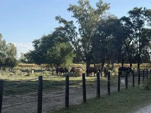Ruta 28, Km 6, Pilar, Provincia de Buenos Aires