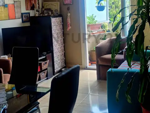 san Lorenzo 2400, Piso 4