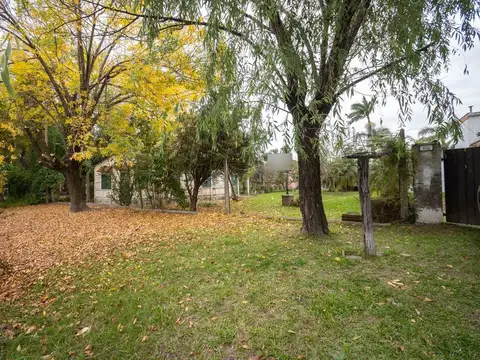 Calle Reduello Pancha 1700