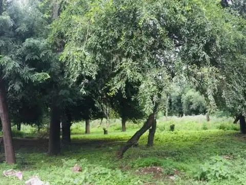 Terreno en Venta de 1120,0 m2