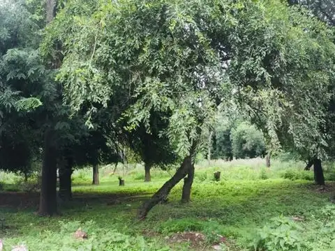 Unquillo, espectacular terreno! 1120m2