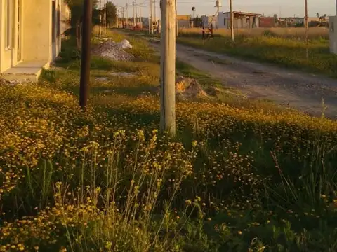 Terreno en Venta en Oasis, USD 11.900