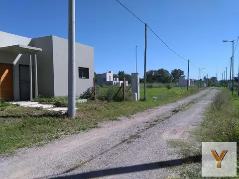 Altos de Don Francesco 136 y 519