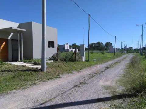 Altos de Don Francesco 136 y 519