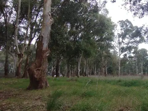 Terreno en Venta en Arroyo Del Pescado, USD 55.000