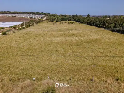 Terreno en Venta de 30000,0 m2