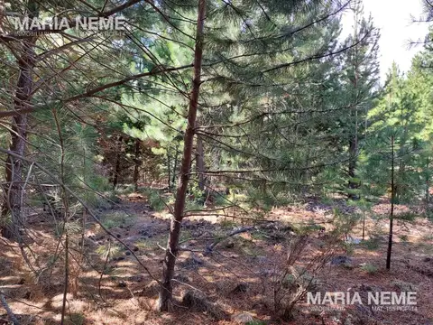 Terreno en  venta en Club de Campo Dos Valles