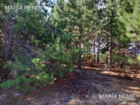 Terreno en Venta en San Carlos de Bariloche, USD 46.000