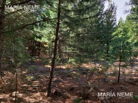 Terreno en Venta de 844,0 m2