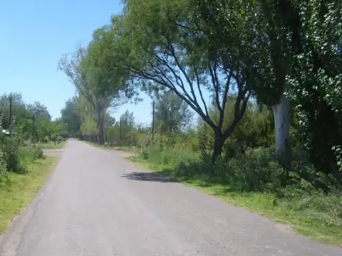 OPORTUNIDAD DE INVERSIÓN EN MENDOZA, GRAL ALVEAR