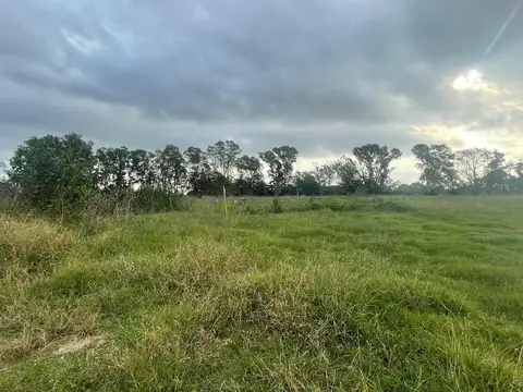 Calle 637 y 143   Arana , La Plata