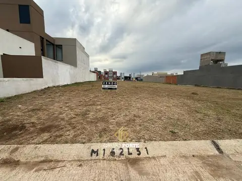 Docta Avenida