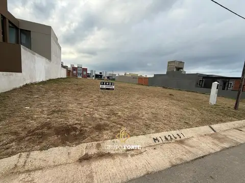 Docta Avenida