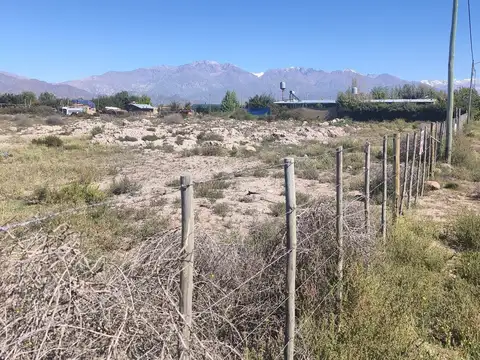 Del Campo