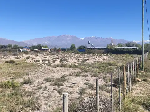 Terreno 10.000 m2 en El Cepillo Valle de Uco