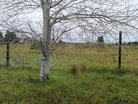 El Amparo Lote 80