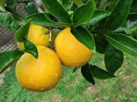 Casa en Venta en La Plata, USD 80.000