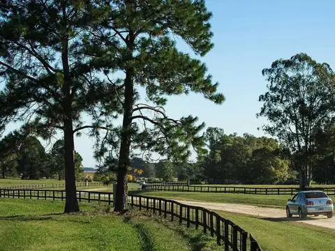 Terreno en Venta en Quebradas, USD 49.000