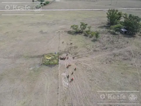 Campo Mixto  en venta de 141 Has - Excelente acceso desde Ruta N° 29 - Ranchos