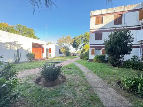 Centenario al 1200 -
