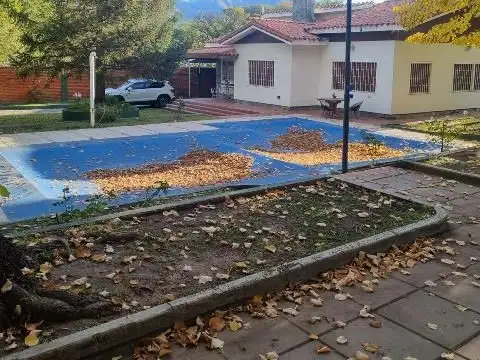 LAS MAGNOLIAS 100