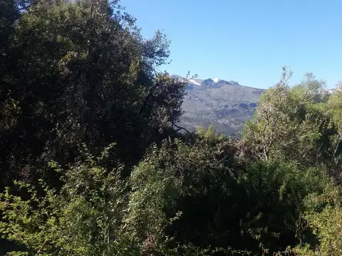 Lote en venta en San Martín de los Andes 100