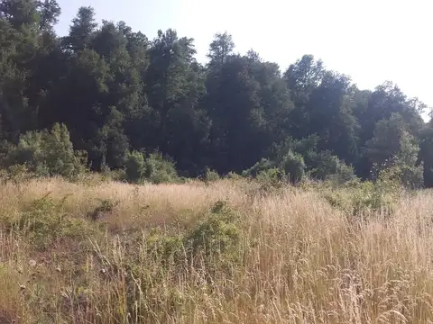 Lote en venta en San Martín de los Andes 100
