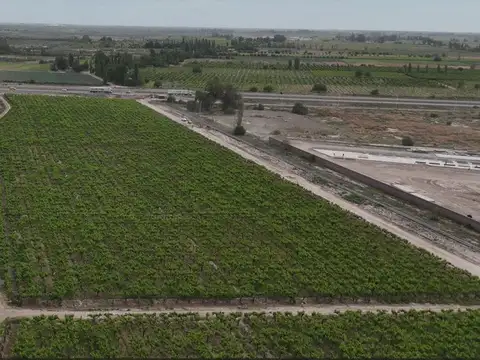 Venta Finca lindante PASIP Palmira Mendoza