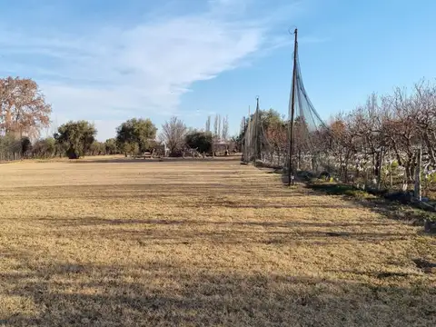 Fracción de 6.291 m² en venta – Rivadavia, Mendoza