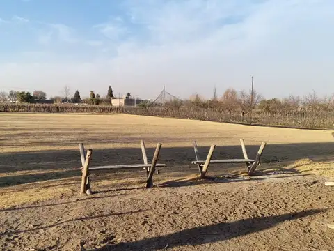 Fracción de 6.291 m² en venta – Rivadavia, Mendoza
