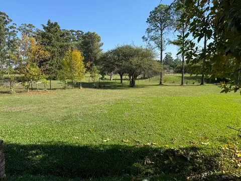 Vendo Lote de 2 Has Con Casas en San Justo, Entre Ríos.