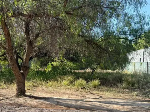 Terreno en Venta de 550,0 m2