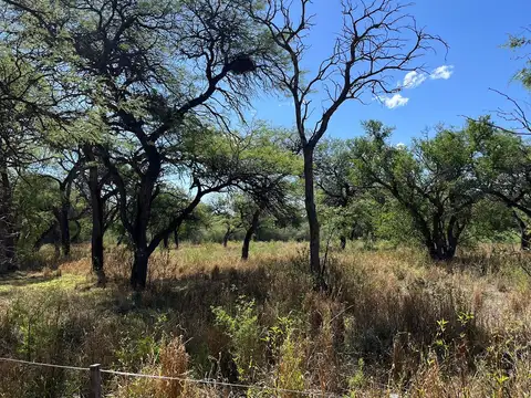 Terreno en Venta de 20000,0 m2