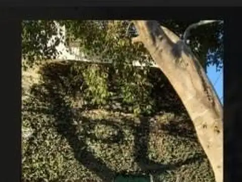 Departamento Dúplex  en Alquiler en Lomas de San Isidro, San Isidro, G.B.A. Zona Norte