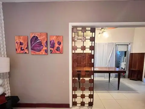 Senador J.Pallares 1300