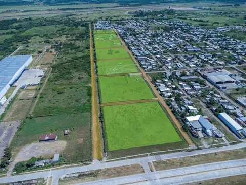 Lote San Fernando Sur - Ciervo De Los Pantanos