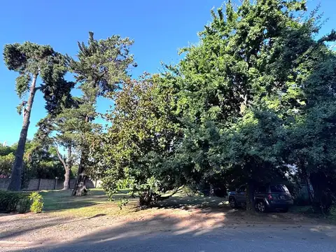 Terreno en Venta de 1146,0 m2