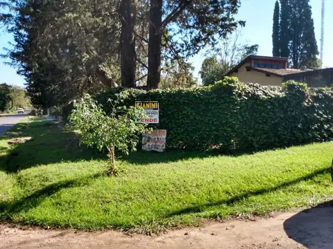 Terreno - Venta - Argentina, Muñiz - Zapiola 695