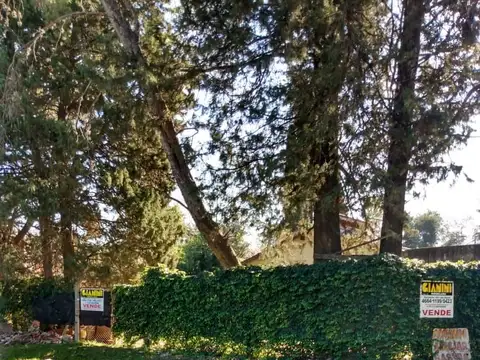 Zapiola 600