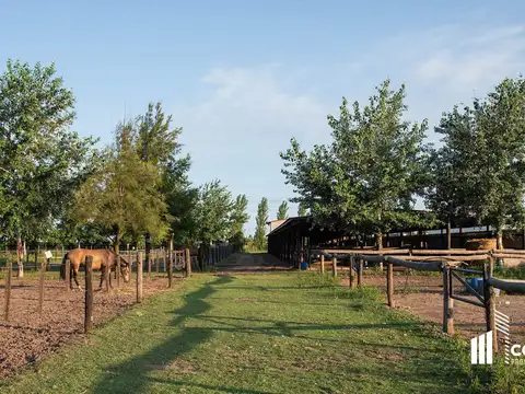 VENTA TERRENO LA RINCONADA