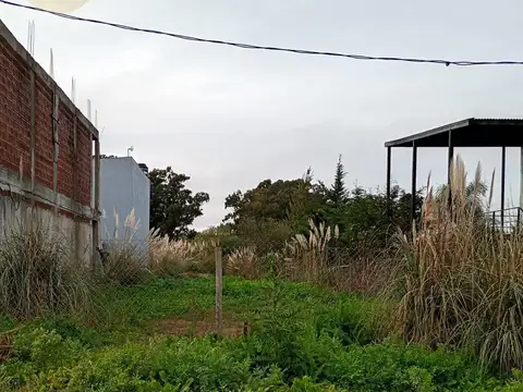 84 e/ Montevideo y 176