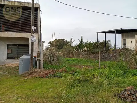 84 e/ Montevideo y 176