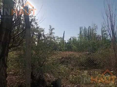 Terreno en Venta 29  mts Fondo