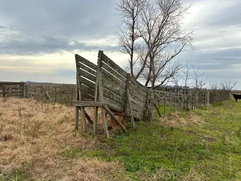 Campo a 15 Km de la Ruta Nº 91; y a 210 Km de CABA.