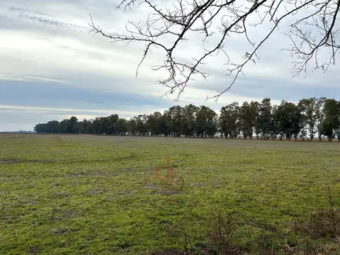 Campo a 15 Km de la Ruta Nº 11; y a 210 Km de CABA.